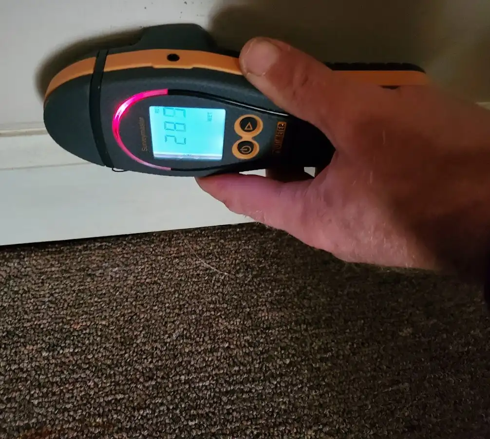 Moisture detection at baseboard during Mold Inspection & Testing in Springtown